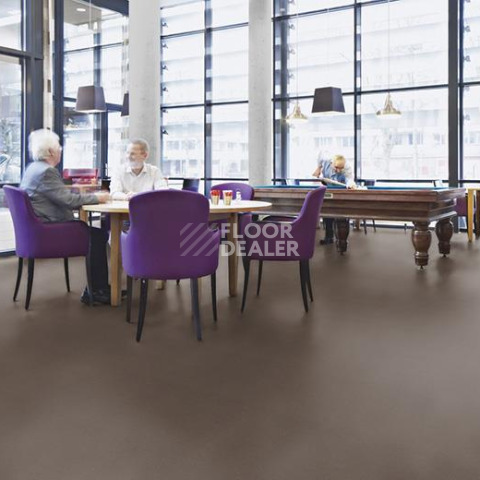 Forbo Marmoleum Decibel on Order 363235 sealion фото 3 | FLOORDEALER